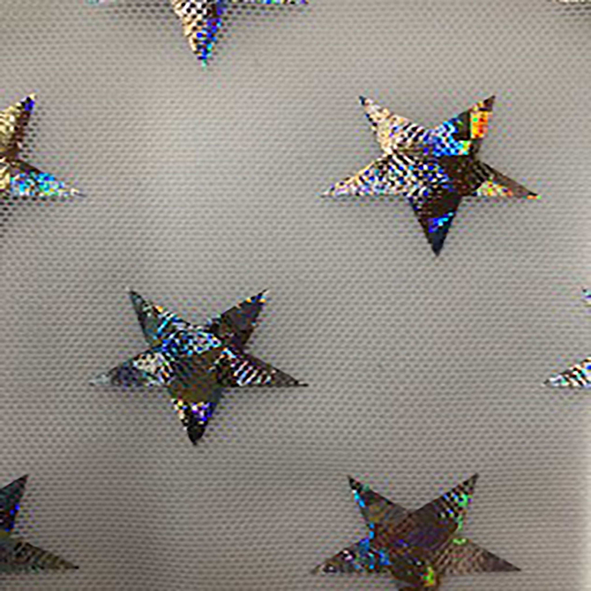 Power Stretch Mesh Star Hologram Foil Fabric | Spandex Palace