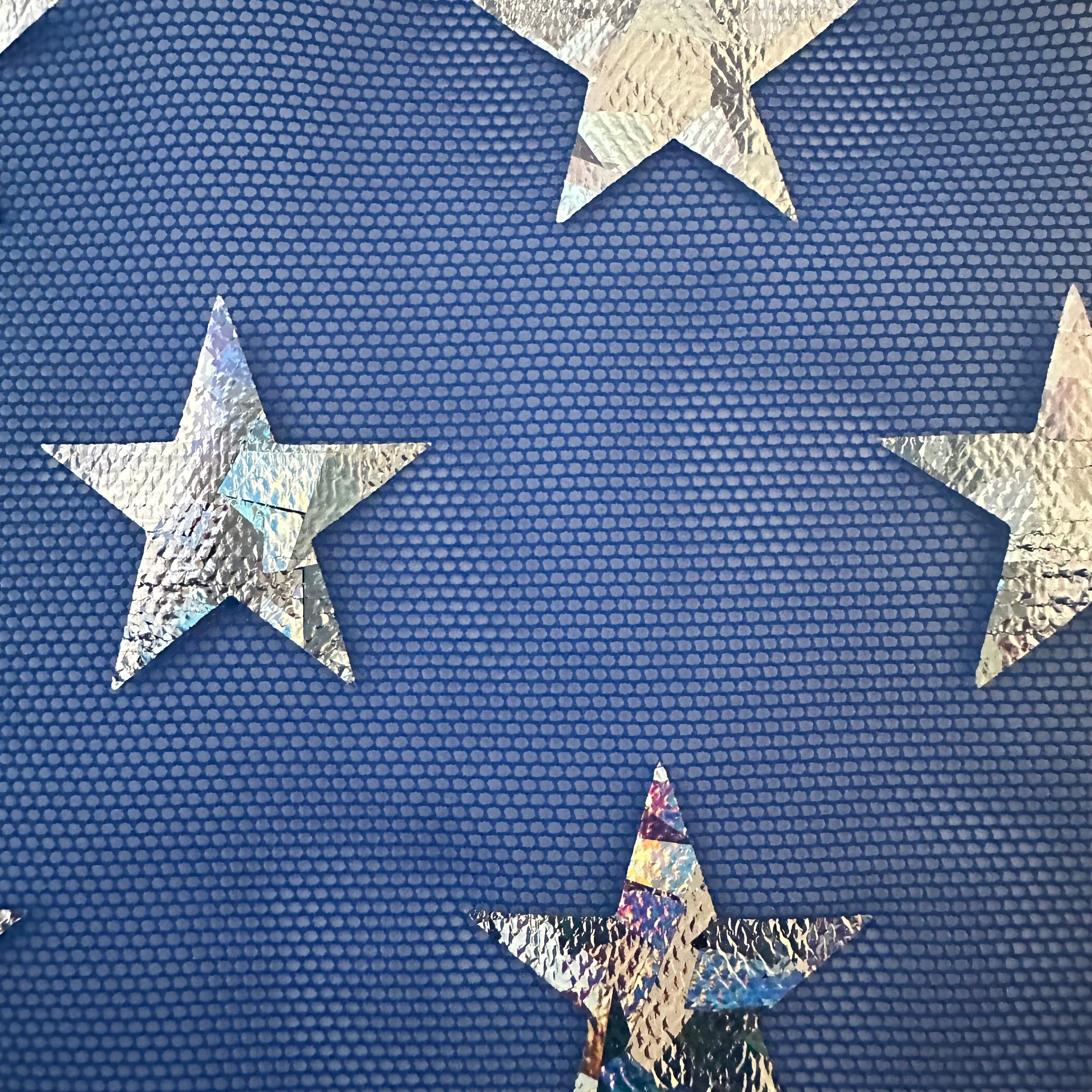 Power Stretch Mesh Star Hologram Foil Fabric | Spandex Palace