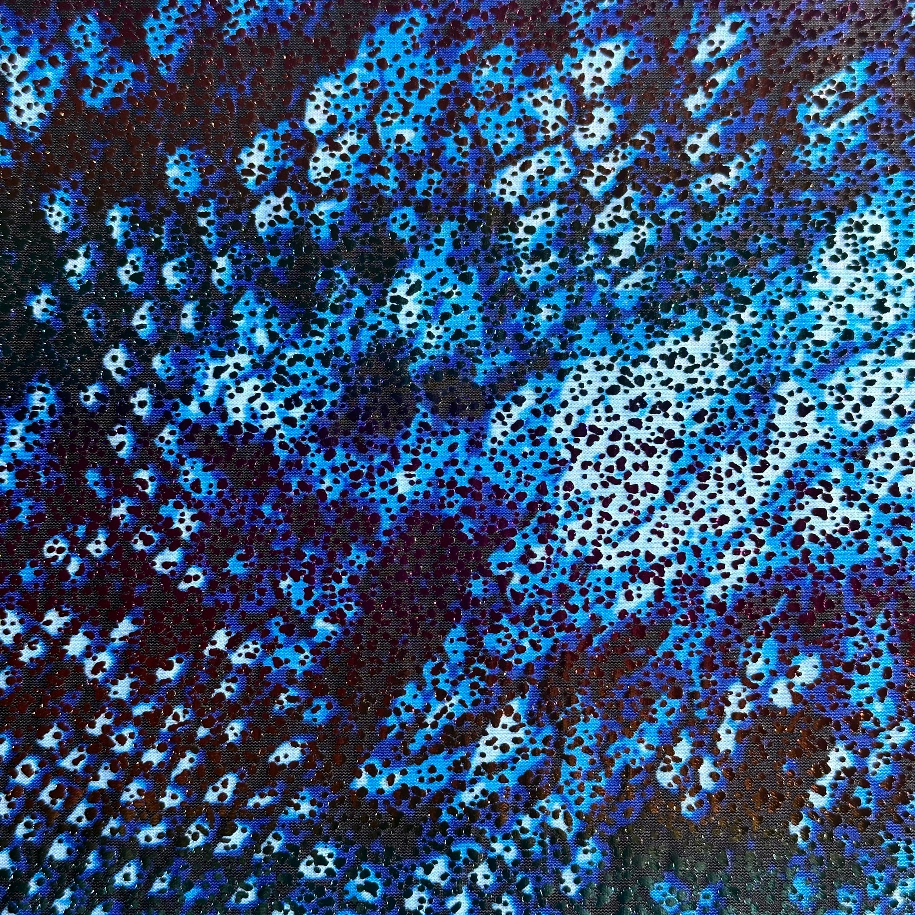 Nylon Spandex Fabric Shinny Anaconda Foil print | Spandex Palace