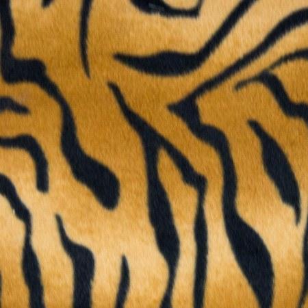 Gold | Black Zebra Print Fleece Fabric - Fashion Fabrics Los Angeles