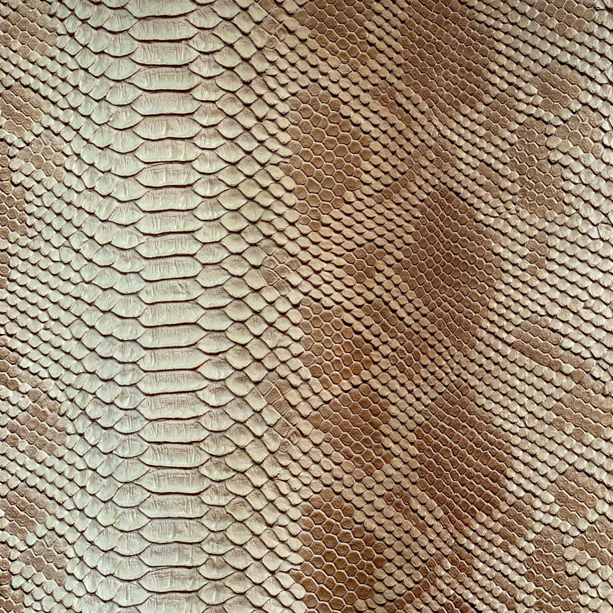 Beige Faux Viper Sopythana Snake Skin Vinyl - Fashion Fabrics Los Angeles