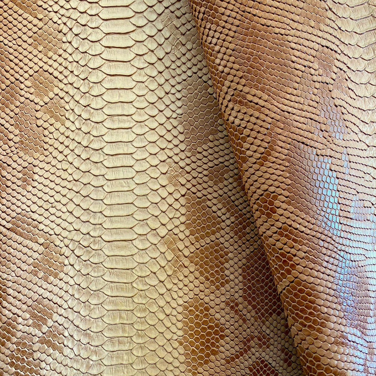Beige Faux Viper Sopythana Snake Skin Vinyl - Fashion Fabrics Los Angeles
