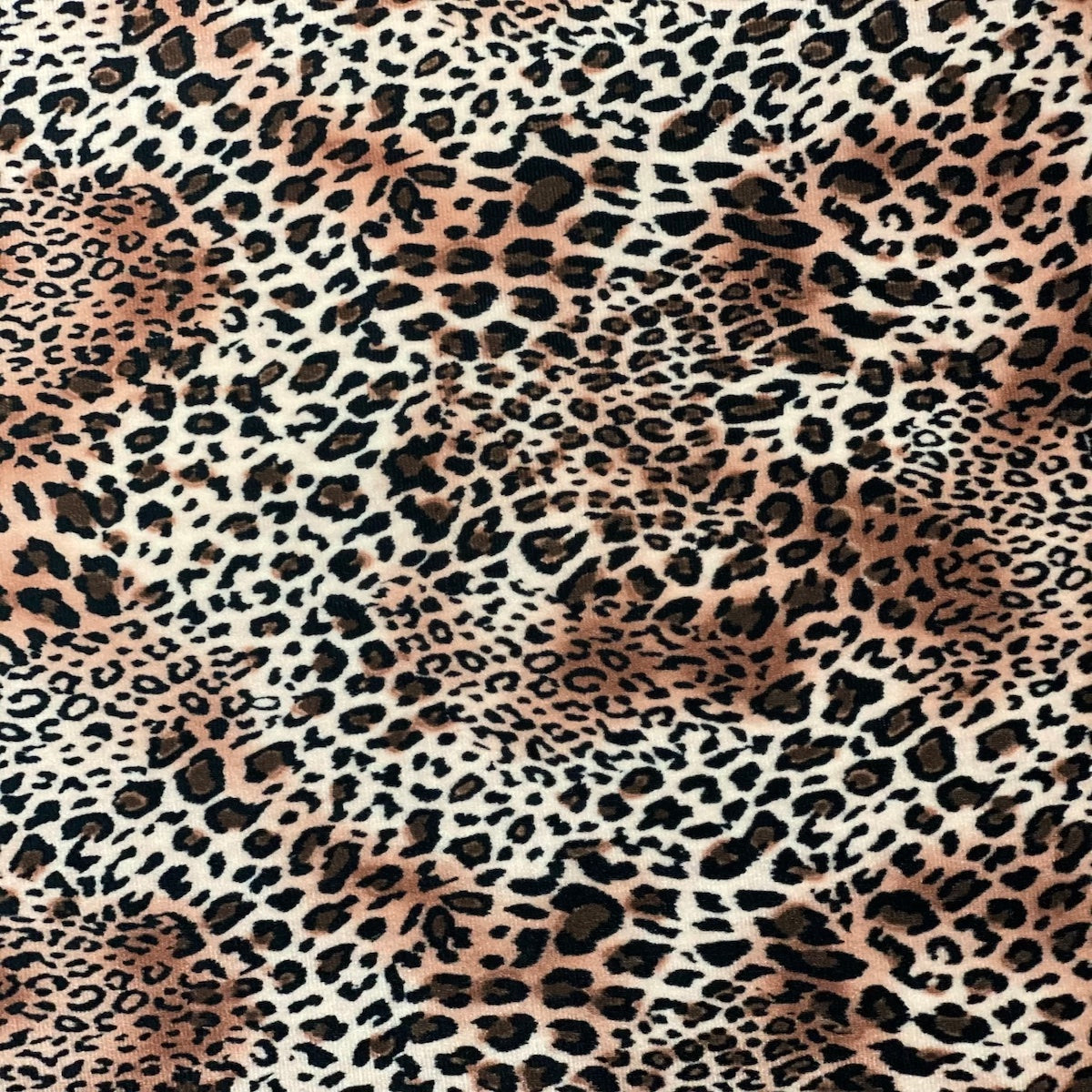 African Cheetah Print Stretch Velvet Fabric - Fashion Fabrics Los Angeles