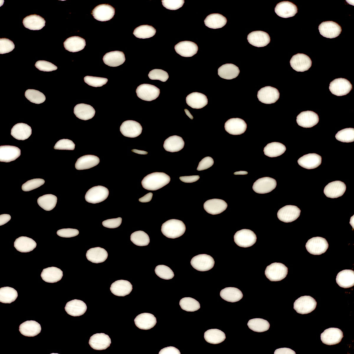 Black White Mini Polka Dot Poly Cotton Fabric - Fashion Fabrics LLC