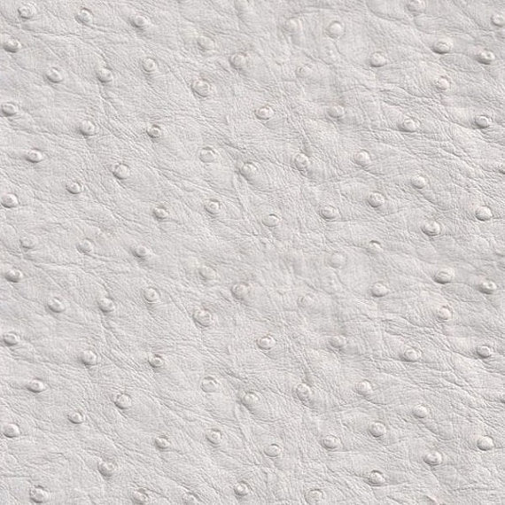 Ostrich Vinyl Fabric