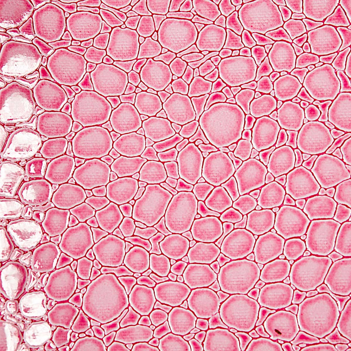 Light Pink Crocodile Vinyl Fabric - Fashion Fabrics Los Angeles