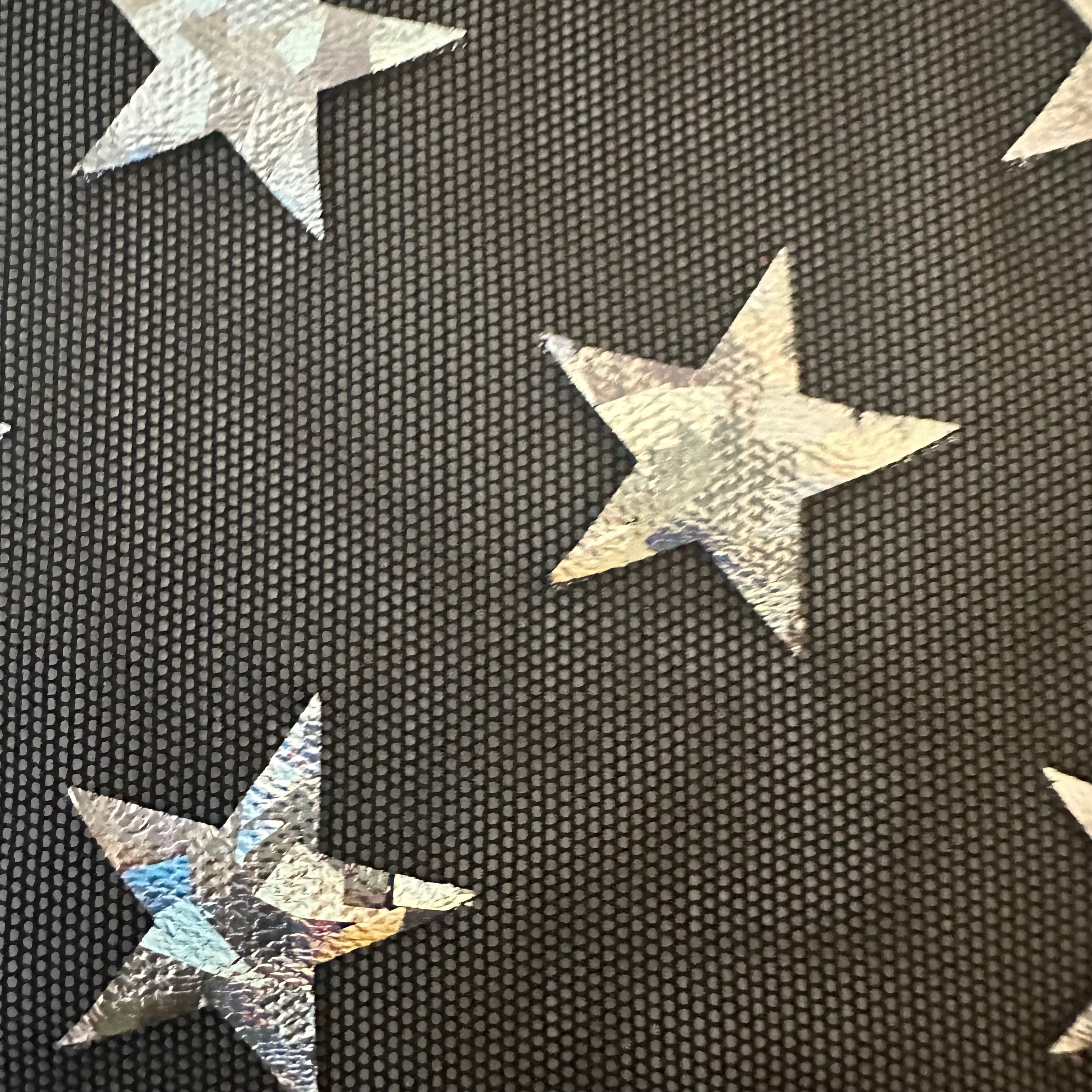 Power Stretch Mesh Star Hologram  Foil Fabric | Spandex Palace