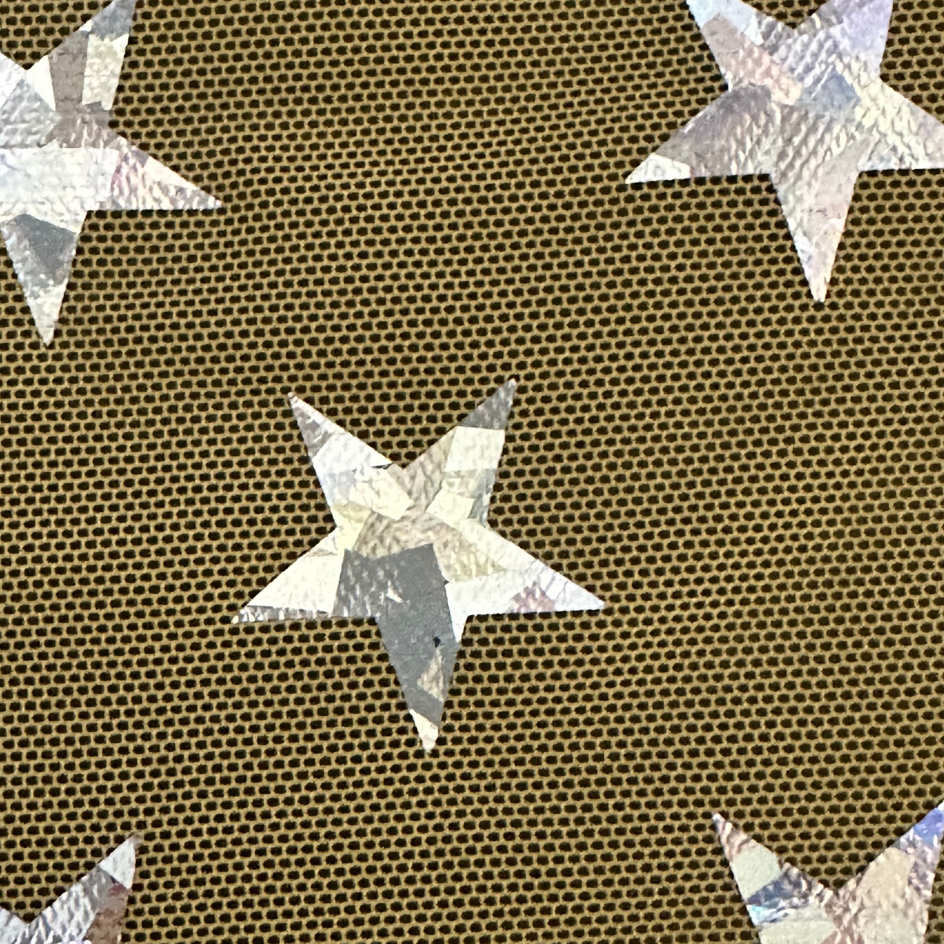 Power Stretch Mesh Star Hologram  Foil Fabric | Spandex Palace