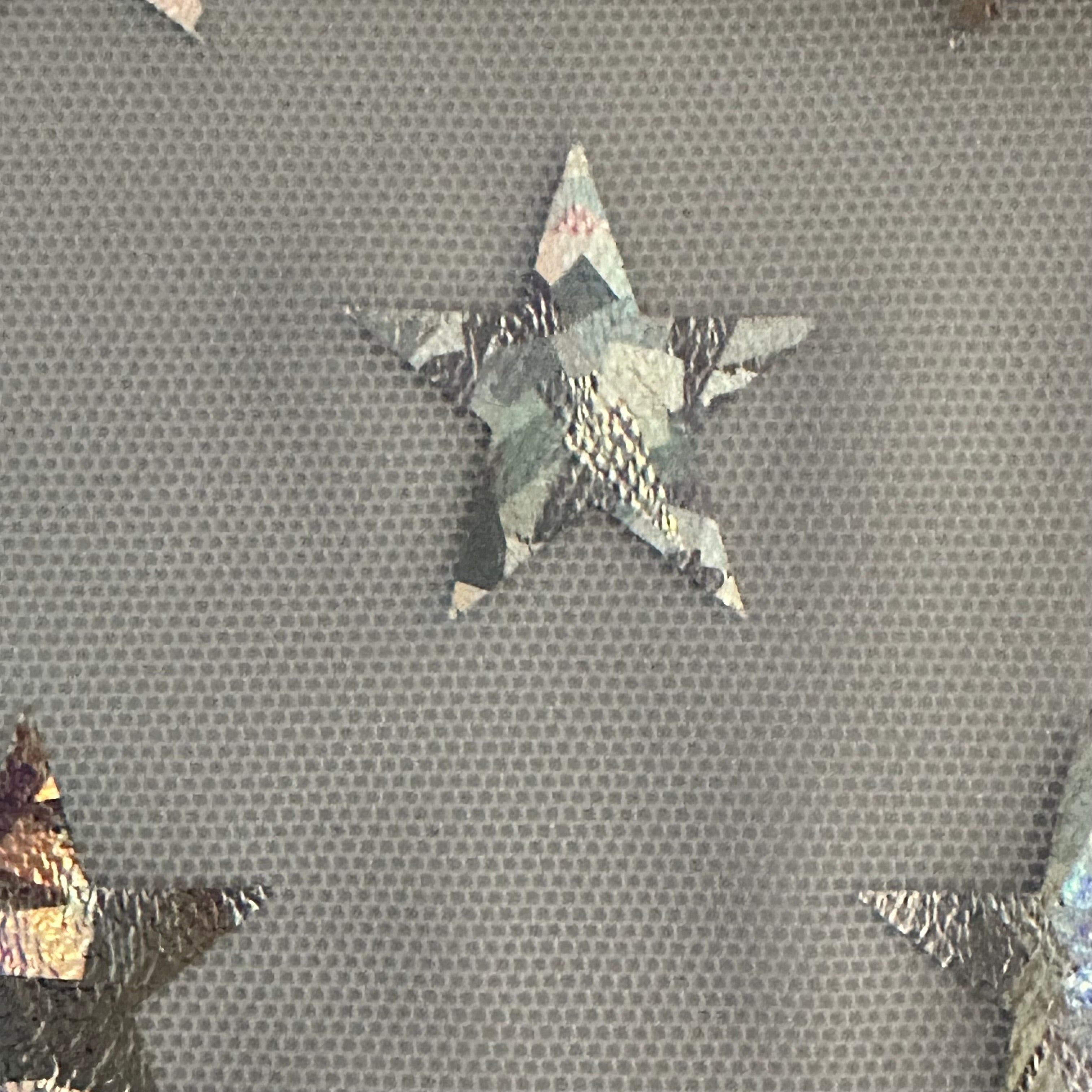 Power Stretch Mesh Star Hologram  Foil Fabric | Spandex Palace