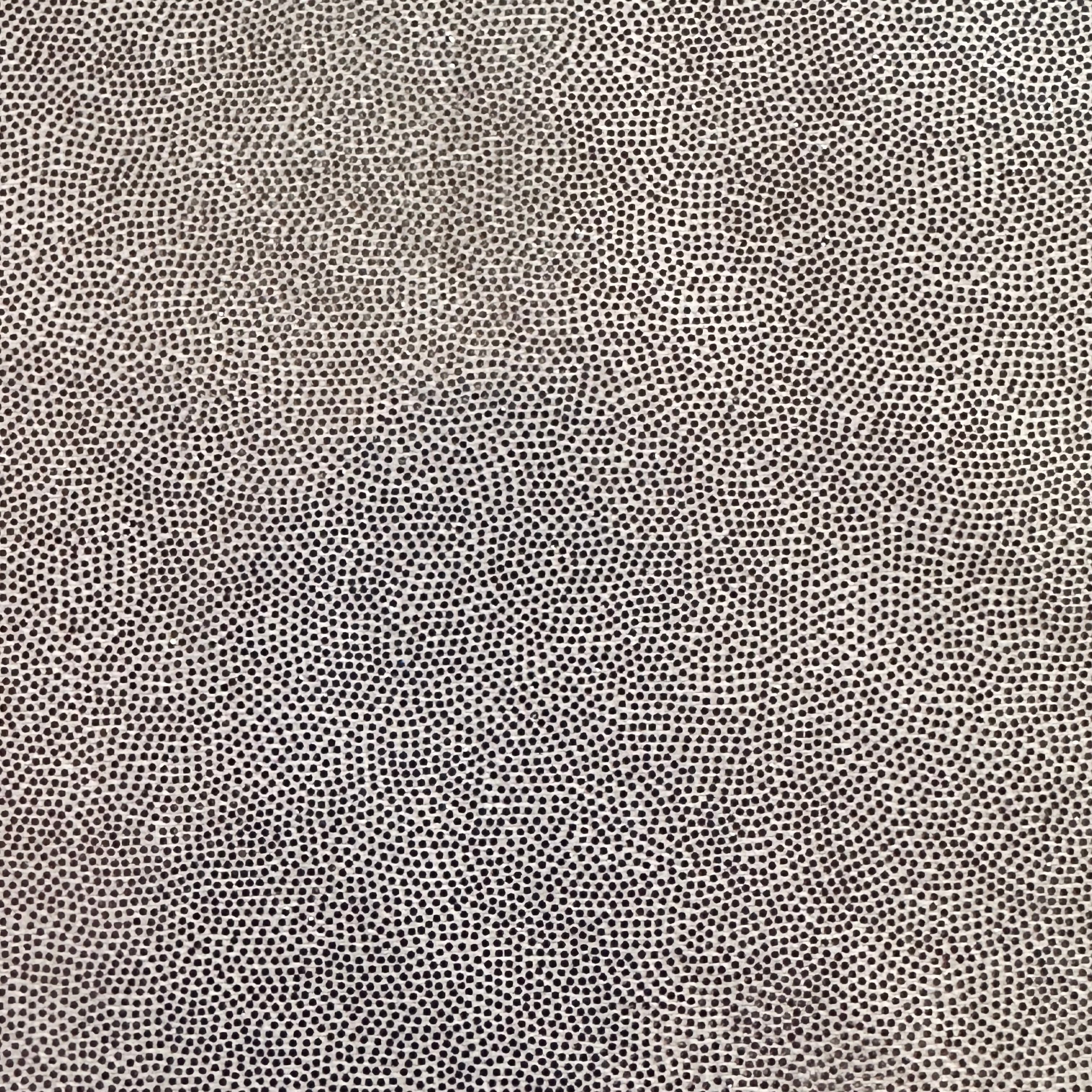 Foggy Foil  4 Way Stretch Nylon Spandex Tricot Fabric | Spandex Palace