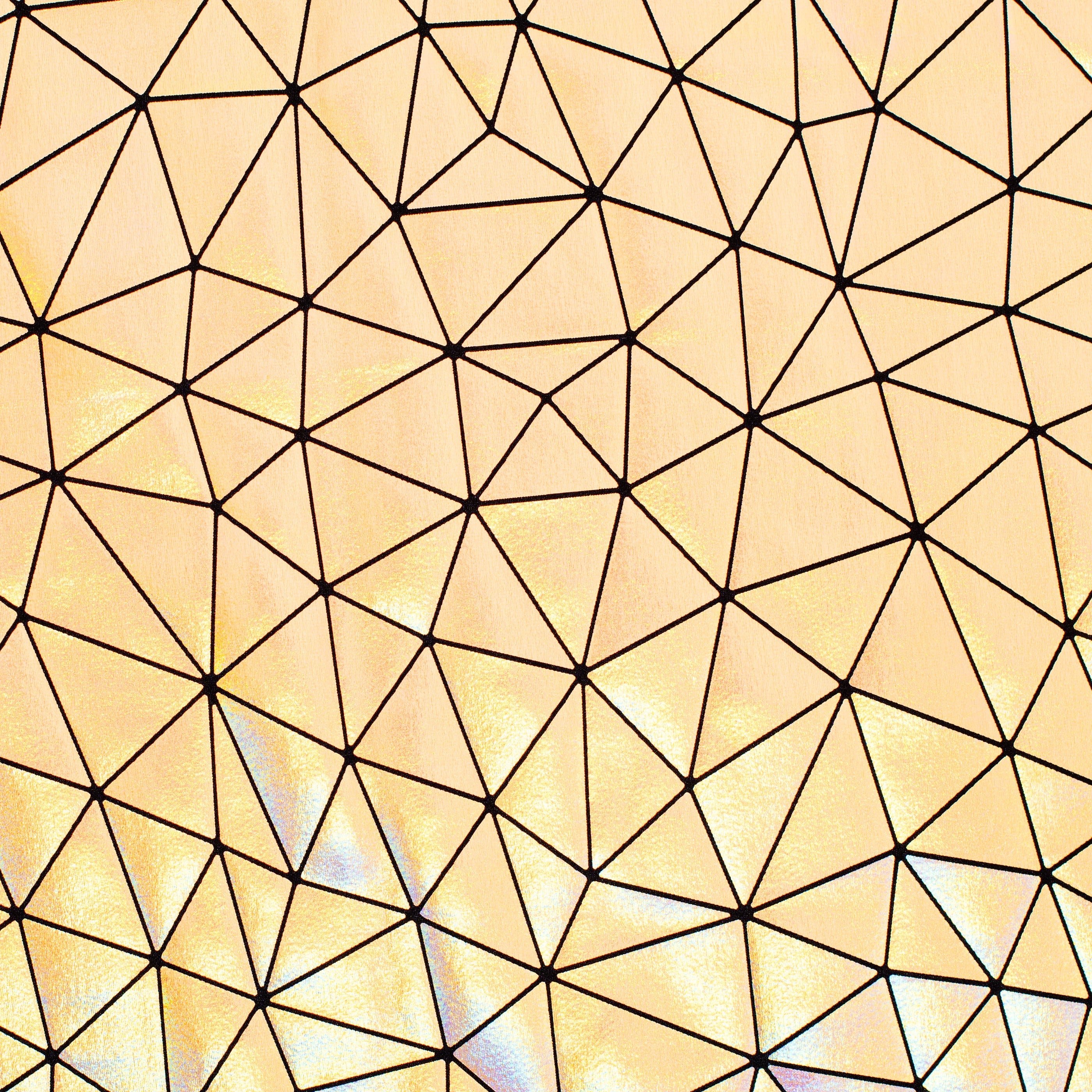 Bohemian Laser Hologram Nylon Spandex Fabric | Spandex palace