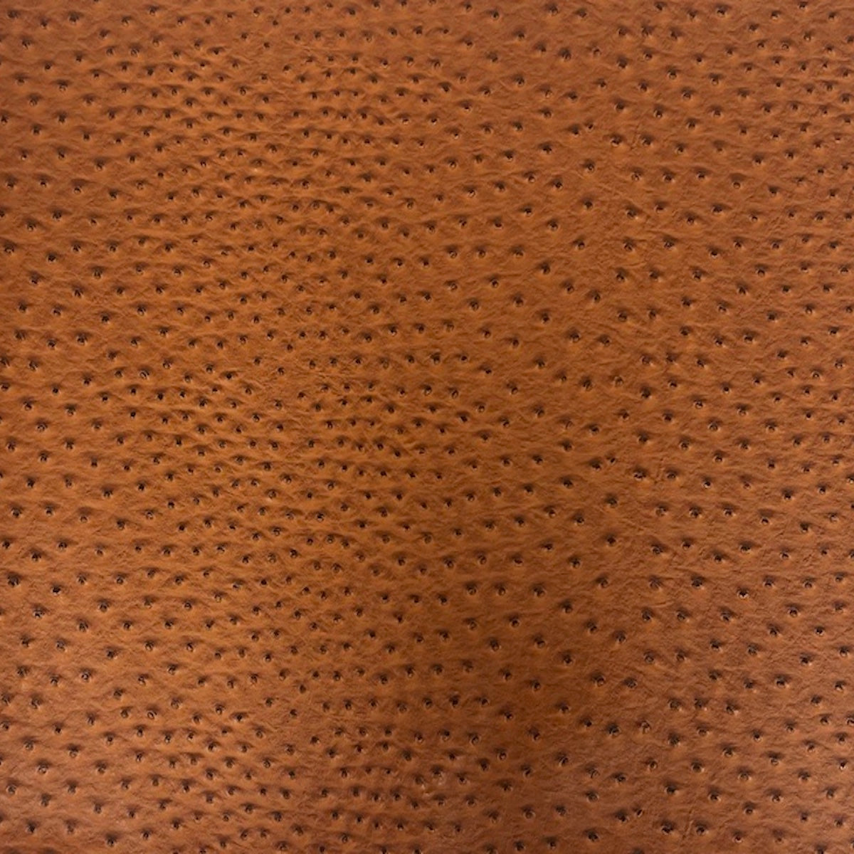 Tela de vinilo de piel sintética de avestruz Saratoga naranja óxido 