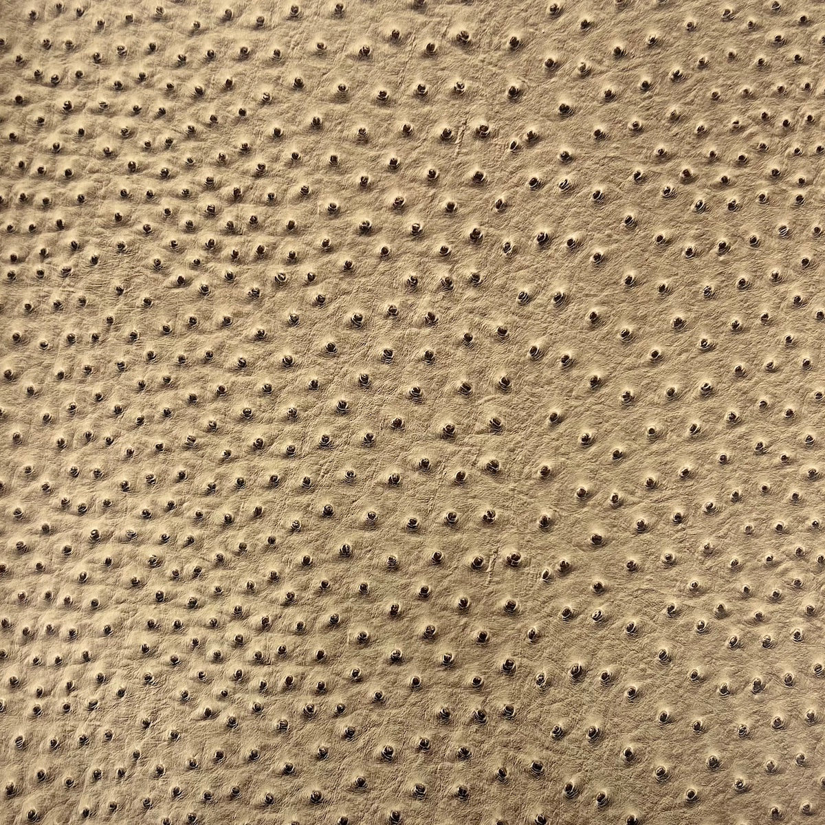 Tela de vinilo de piel sintética de avestruz Saratoga marrón caramelo 