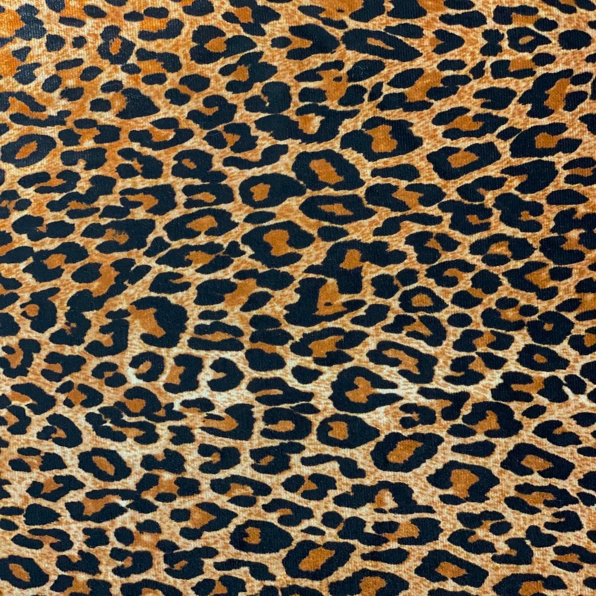 Baby Leopard Print Stretch Velvet Fabric - Fashion Fabrics Los Angeles 