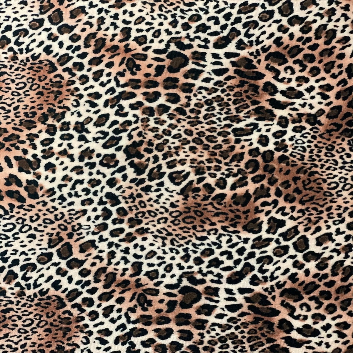African Cheetah Print Stretch Velvet Fabric - Fashion Fabrics Los Angeles 