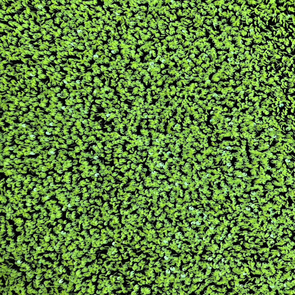 Vert lime | Tissu de rodéo en velours extensible brodé de paillettes noires