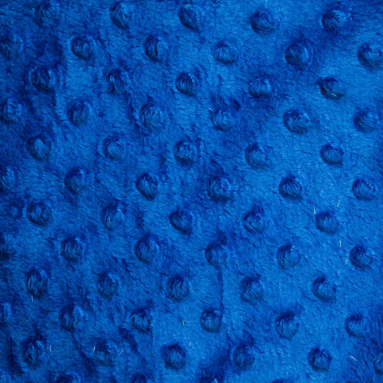 Royal Blue Minky Dimple Dot Fabric - Fashion Fabrics Los Angeles 