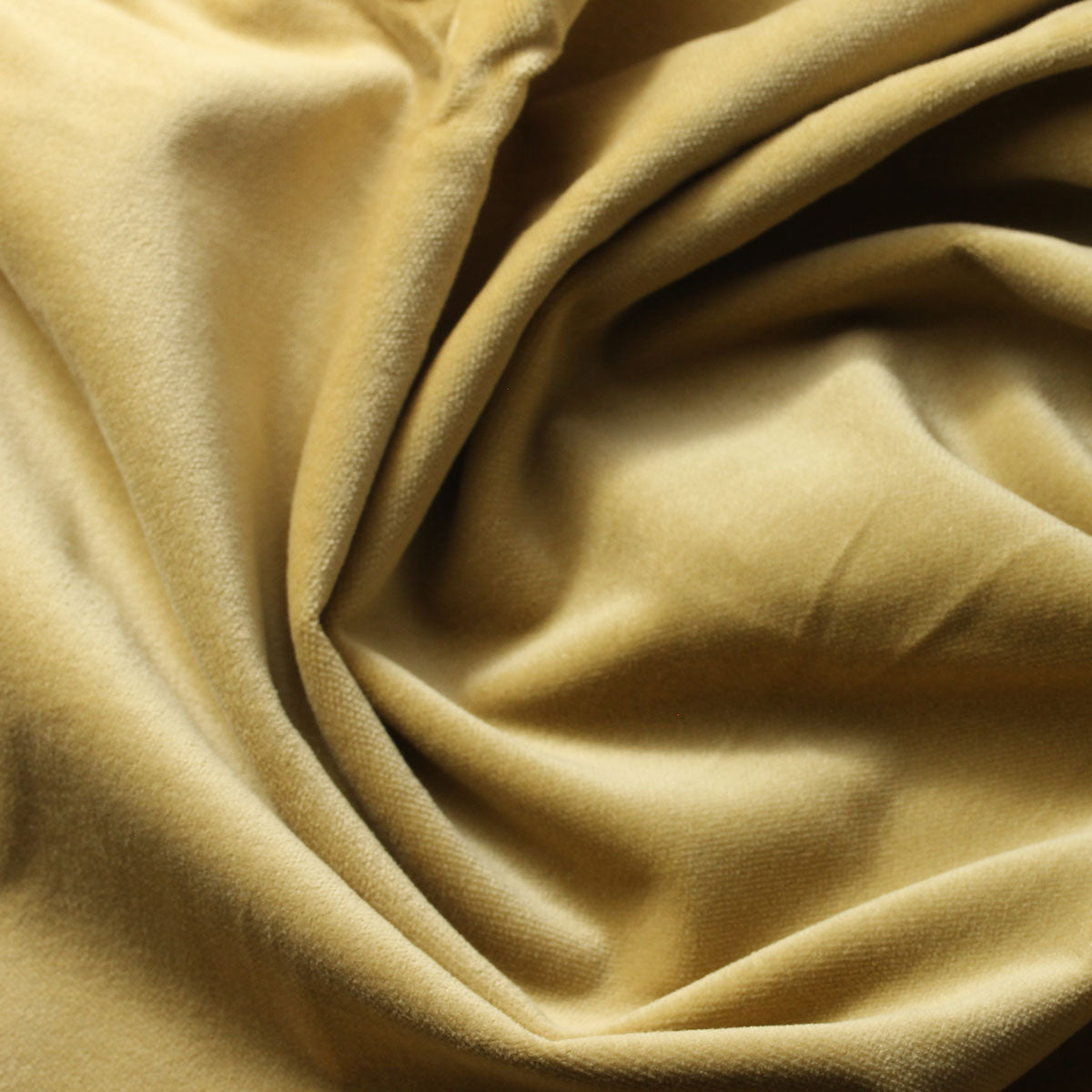 Antique Gold Cotton Velvet Upholstery Drapery Fabric - Fashion Fabrics Los Angeles 